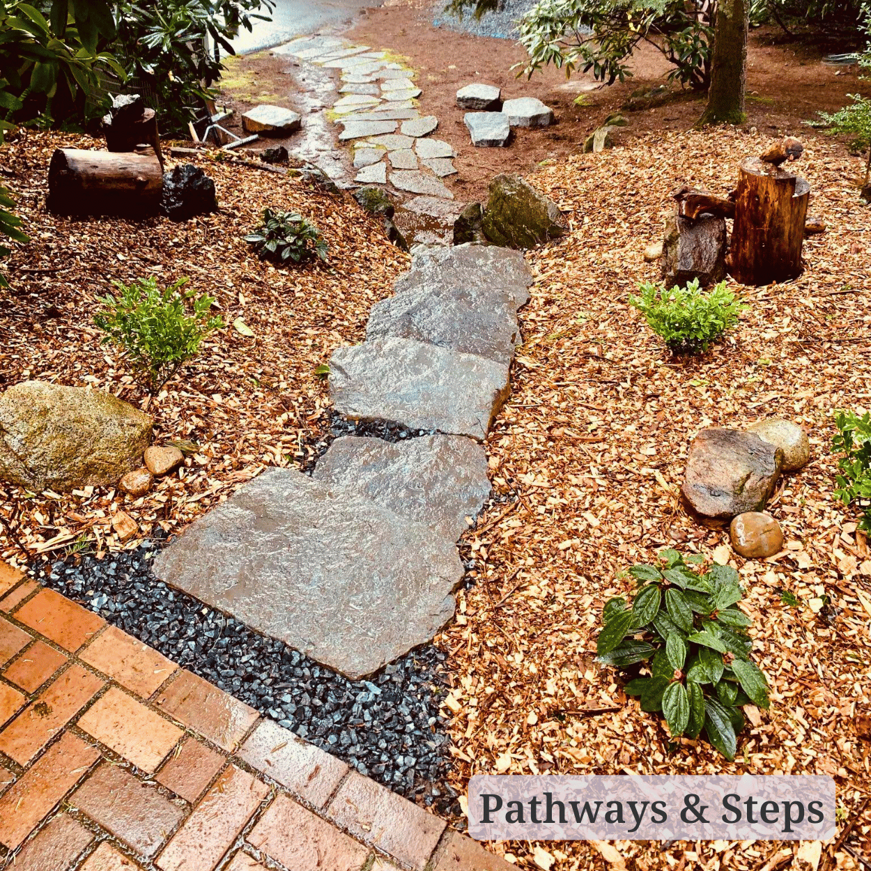 Pathways & Steps