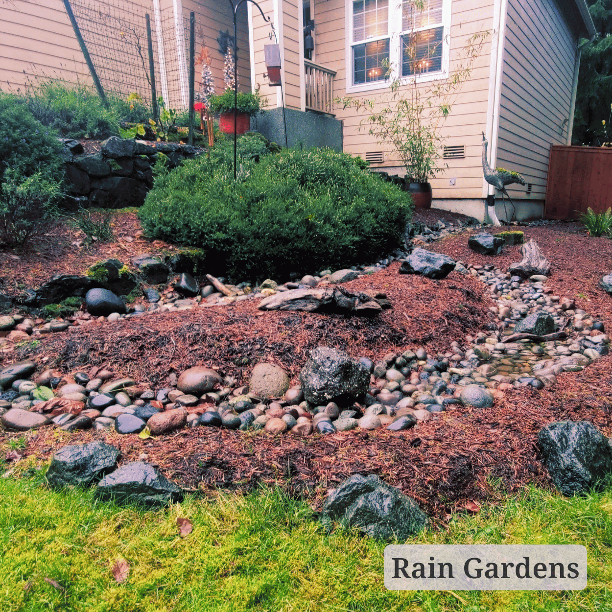 Rain Gardens